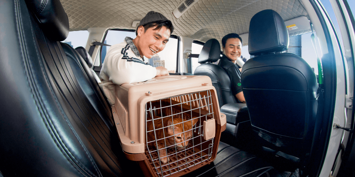 GrabCar Thú Cưng - dịch vụ chuyên chở thú cưng