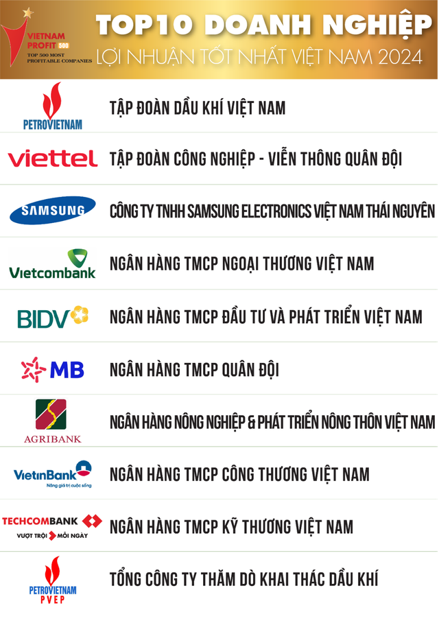 Top 10 DN tư nhân lãi nhất Việt Nam: Vingroup đứng sau ACB, FPT trở lại Top 10 sau 5 năm vắng bóng, Hòa Phát không còn trong danh sách- Ảnh 3.